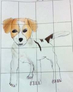 Year5 grid drawing of puppy 50 mins colour pencil 